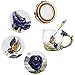COAWG Glass Mug Set 2-Pack, 11oz Lead-Free Handmade Enamel Butterfly and Blue Rose Flower Tea Cups with Spoon Madam Lady Graduation Girl