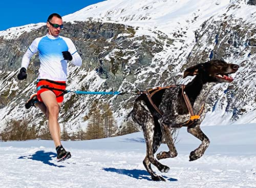 I-dog Materiel Canicross X-Back One Geschirr (L)