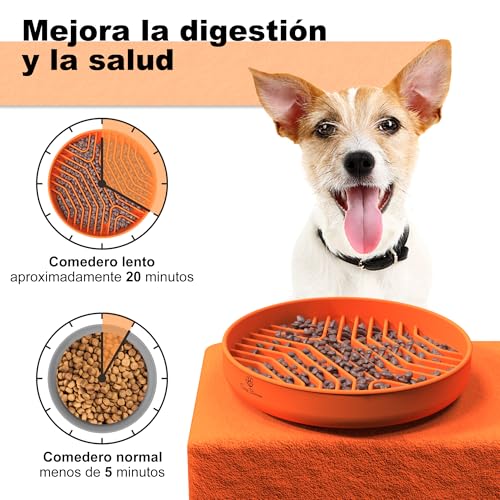 Lentes de seguridad 5 Imagen adicional