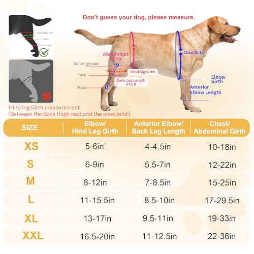 Image of Dog Knee Brace for Torn ACL Hind Leg, Adjustable Dog ACL Braces Rear Leg or Front Legs with Cruciate Ligament Injuries, M