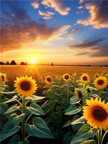 Peinture diamant anti-stress kit complet broderie grand format tournesol