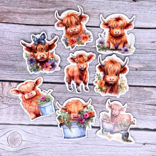Imanes Decorativos de Vacas Highland Paquete 8 Piezas miniatura 4