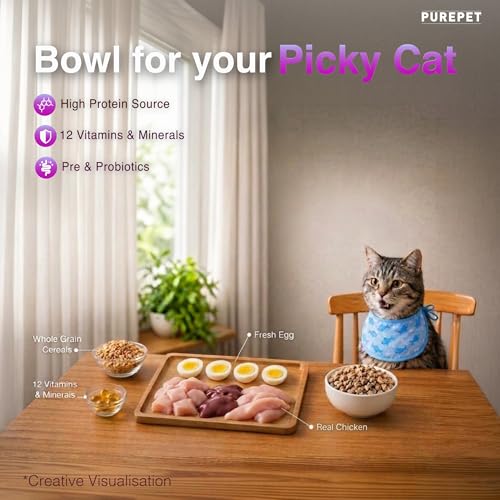 Image of Purepet Adult Dry Cat Food 1kg Pack | Real Chicken Flavour | Prevents Hairballs | Supports Cardiac Function | Promotes Skin Wellness | Enriched with Taurine
