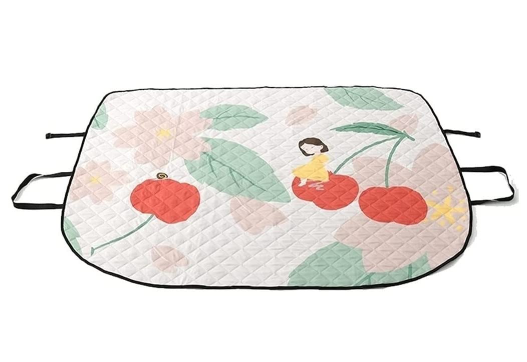 CVdrtyED Picnic Blanket Multifunction Portable Picnic Camping Blanket, Mat Foldable Lightweight Car Windshield Sun Visor Cover Outdoor Mat(C)