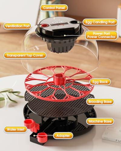 Incubators for Hatching Eggs,12 Egg Incubator with Automatic Egg Turning and Humidity Control,Egg Candler,Air Vent,360° Viewing for Chicken,Quail Eggs,Ideal for Farm,Classroom,Home Use - Image 3