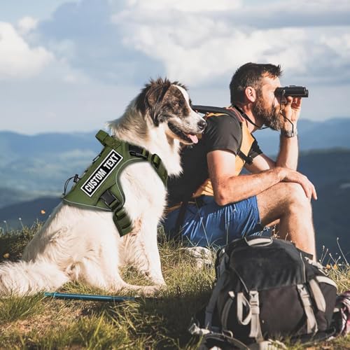 2 Stück personalisierter Namenspatch Namensaufnäher, Hundegeschirr-Aufnäher, Bestickte Militär-Namensschilder, Patches für Jacke, Rucksack, Weste, Aufbügeln/Klettverschluss