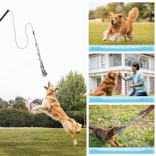 Flirt Pole Für Welpen Hunde,Interaktive Jagd und Zerrspielzeug Im Freien Hundespielzeug,Reizangel Chase Spielzeug mit Seil,Ianglebig Stick Pole für Hunde im Freien Agilität Übung & Hundetraining