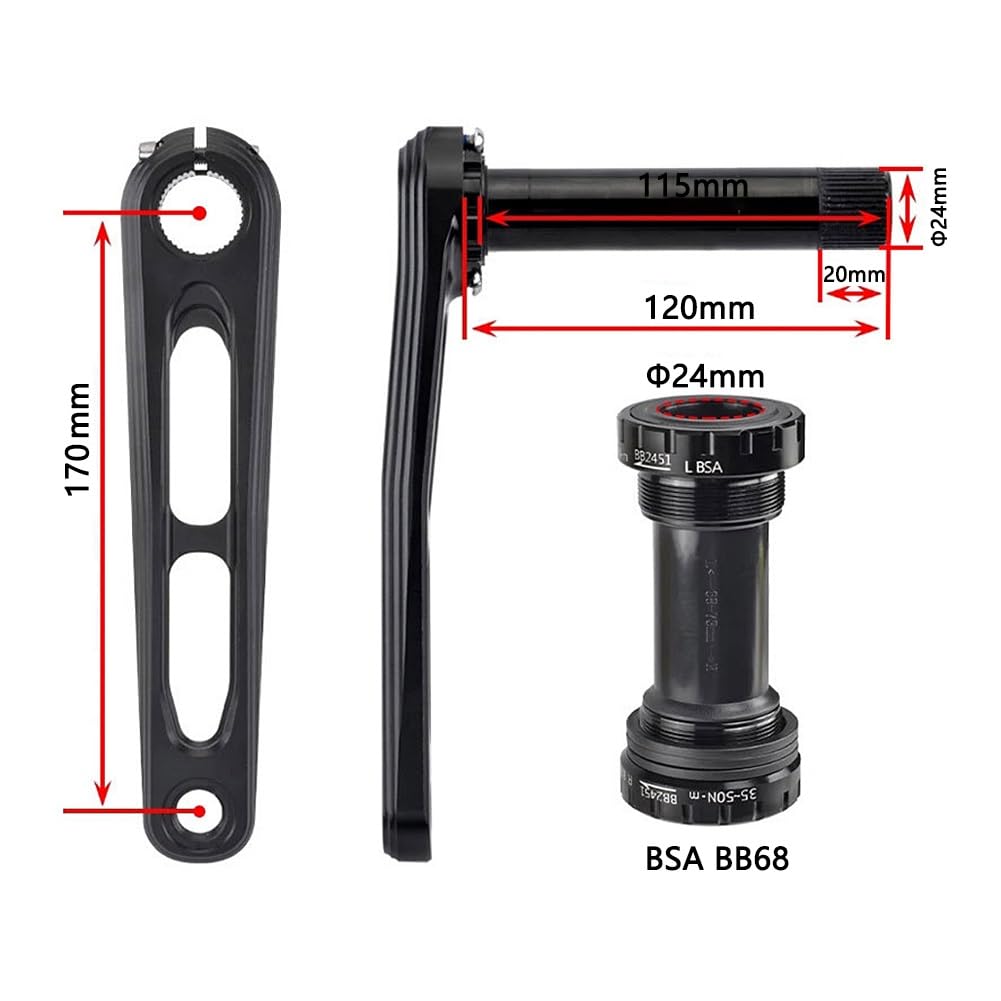 Guarnitura per Bici da Strada da 170 mm con Doppia velocità 50-34T/52-36T/53-39T, pedivella scheletrica Integrata Cava per BMX Pieghevole BSA BB 7-12S, Nera.
