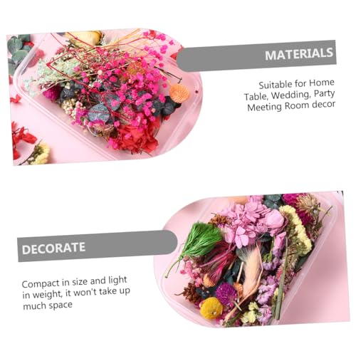 Flores secas Alipis para manualidades en paquete miniatura 6