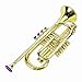 SUNGOOYUE Gold Kid Trumpet Toy 4 Keys Educational Musical Children Trumpet Training