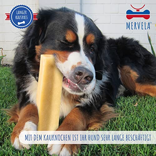 MERVELA Pferd Achillessehne | 100% Pferd pur | 1 Stück | Sehne Achillessehne vom Pferd | Qualität aus Deutschland | ideal für allergische und Sensible Hunde