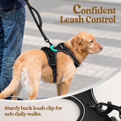 Image of rabbitgoo Dog Harness No Pull with 2 Leash Clips, Adjustable Soft Padded, Reflective Oxford No Choke Pet Vest with Easy Control Handle for Small Dogs, Black, S