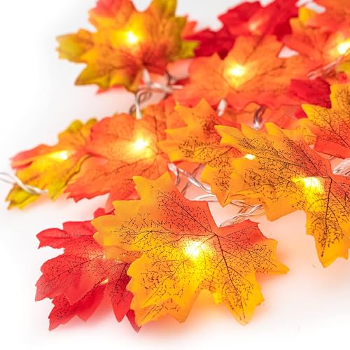 Ventvinal Herbstdekoration Ahornblatt Lichterkette, 2m 20 LED Lichter Thanksgiving Halloween Dekoration Party Innen und Außen Weihnachtslichterkette