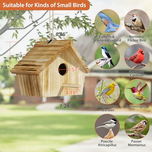 Auslar 101210100-EUP-US-F1 Bird House, Bird Houses For Outside, Wooden Birdhouse thumb #4