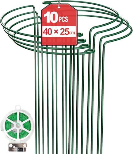 10 Stück 25cm x 40cm Pflanzenstütze mit 50m Pflanzenbinder Metall-Garten-Pflanzenpfähle halbrund Pflanzenstützring Käfig für Pfingstrosen Monstera Hortensien Rosen Sedum Gemüse Tomaten