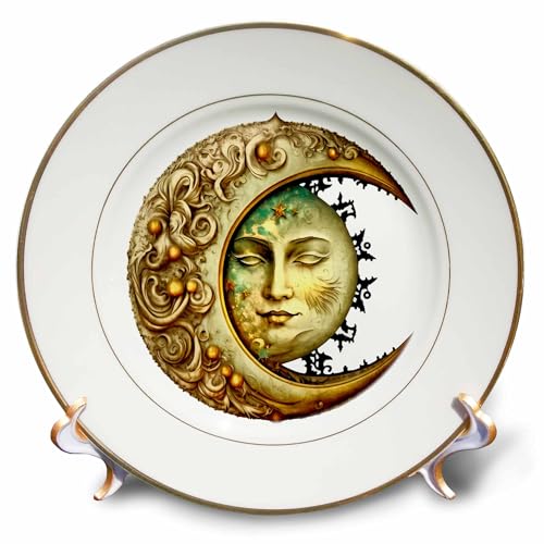 3dRose 8 inch Porcelain Plate - Ornamental Moon Half and Sun Illustration Illustrations