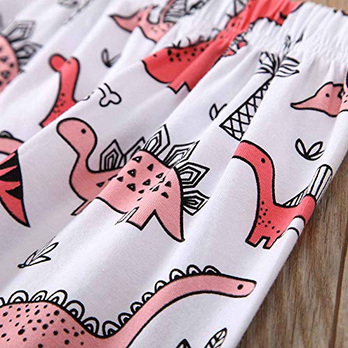 BOWINR Toddler Baby Girl Clothes Long Sleeve Letter Top Dinosaur Print Pants Set Winter Outfits(3_Years Pink)