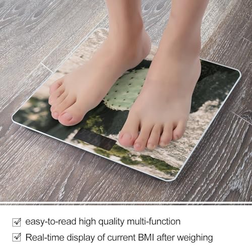 Báscula de baño digital con pantalla LED y vidrio templado miniatura 5
