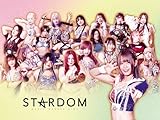We are STARDOM!!～世界が注目!女子プロレス～