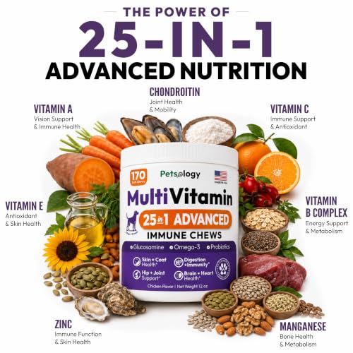 Image of Dog Multivitamin Chewable - 170 Treats - Dog Vitamins and Supplements