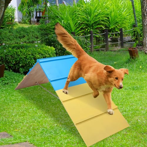 Dog Using Spiareal Agility A-Frame