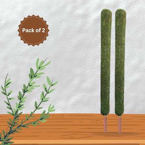 Image of IQNEX Plant Support Moss Stick- Green Grass Pole for Plants Support, Support Stick for Money Plant, Climbing Indoor Plants (Set-2, 5ft)