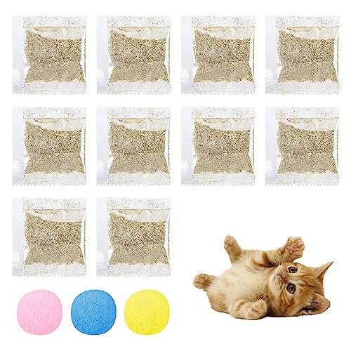 Catnip,Catnip Para Gatos,Catnip Hierba Gatera,Catnip Gatos,Hierba Para Gatos,Hierba Gatera,Hierba Para Gatos,Hierba De Gato Seca,Menta Gato Natural,10g Hierba Gatera Gatos,Pelota De Peluche Para Gatos