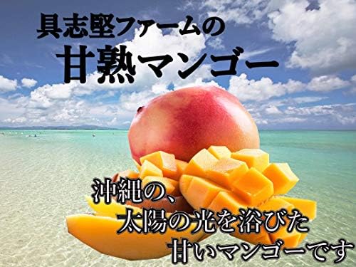 Amazon 完熟マンゴー 沖縄県産 具志堅ファーム特産品(1.5kg) ノー