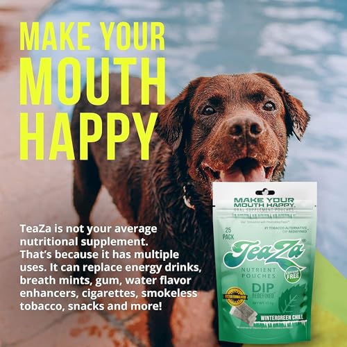 Image of TeaZa Herbal Energy Pouch - Tobacco Alternative - Nicotine Free (Wintergreen Chill, 1 Bag)