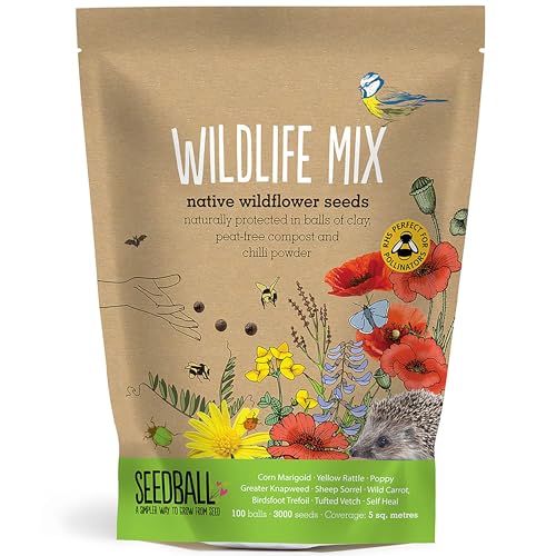 SEEDBALL Wildlife Mix Seed Bombs 100 Seed Balls Per Pack | Bee Friendly British Wild Flower Seed Mix | Beautiful Coloured Garden Flower Seed Bombs for Bees Birds & Other Garden Wildlife
