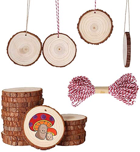 Fezzia Unfinished Wood Slices 20 Pcs 3.5-4.0 Diameter 0.4 Thick Natural Predrilled with Hole Craft Wood Kit Wooden Circles Great for Arts and Crafts Christmas Ornaments DIY Crafts Gifts