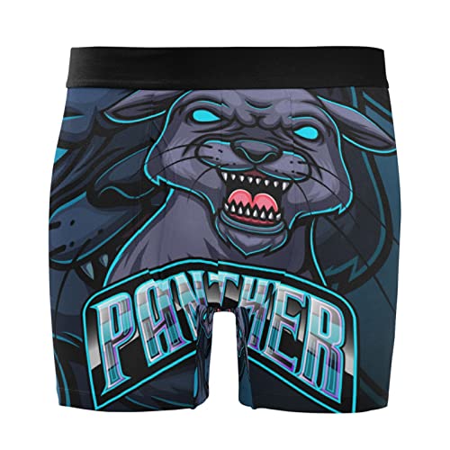 Bóxer para hombre antirritación calzoncillos elásticos ultrasuaves de leopardo pack de 2