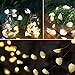 WSgift Natural Beach Seashell String Lights 13.85 Ft 40 Warm White LED Weatherproof Battery Operated 8 Modes Ocean Lights for Holiday Parties Bedrooms Weddings Gardens with Remote and Timer