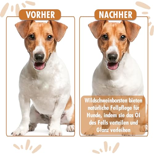 Bambus Kombi Hundebürste & Katzenbürste I Glätten und Entfilzen I kurz - mittellangem Fell geeignet I Hundekamm für Unterwolle I + Gratis Pflegehandbuch