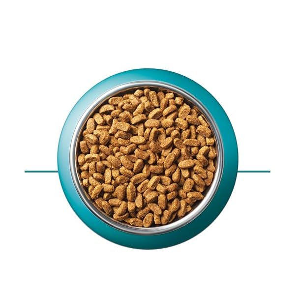PURINA ONE BIFENSIS Sterilcat Katzentrockenfutter, für kastrierte Katzen, gesunder Stoffwechsel – Bild 6