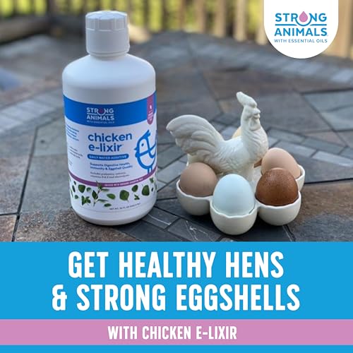 Chicken E-lixir – Natural Daily Chicken Supplement with Organic Oregano Essential Oils, Vitamins & Electrolytes for Backyard Chickens (32 oz. Bottle)
