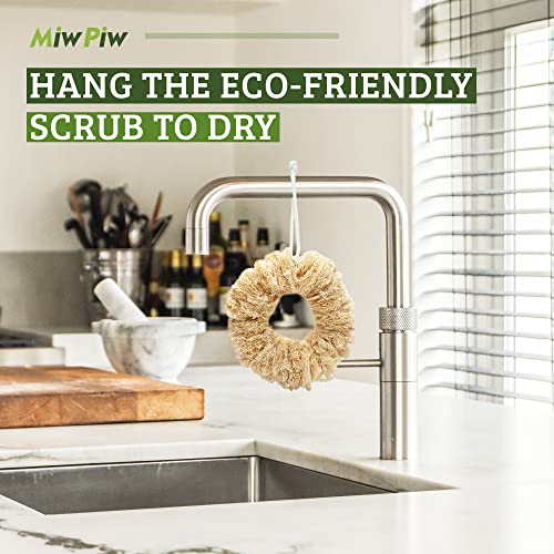 Image of Natural Loofah Dish Sponge Vegetable Scrubber for Kitchen - 100% Biodegradable Compostable Dishwashing Scouring Pad Zero Waste Luffa Loofa Loufa Lufa (Pack 1)