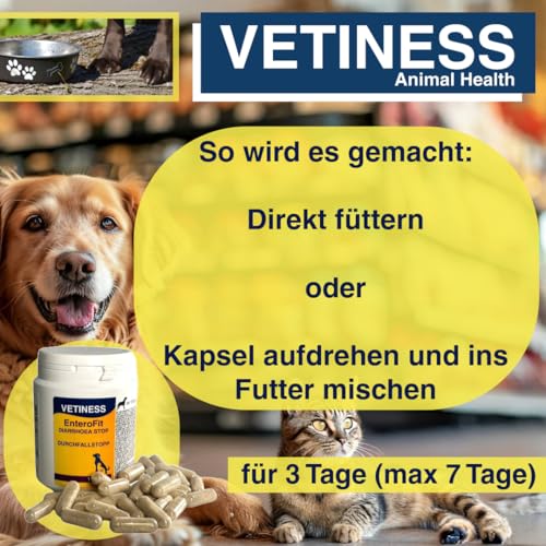 vetiness EnteroFit Durchfallstopp für Hunde und Katzen 100x Kapseln | bei akutem Durchfall | Natürliche Durchfallhilfe | Stärkt Darmflora Hund Durchfall Hund | für empfindliche Tiere