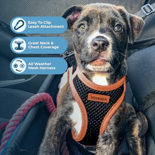 Image of Voyager Step-in Air All Weather Mesh Harness & Reflective Dog 5 ft Leash Combo, Neoprene Handle, for Small, Medium, Large Breed Puppies by Best Pet Supplies - Leash Harness (Black /Orange Trim), XL