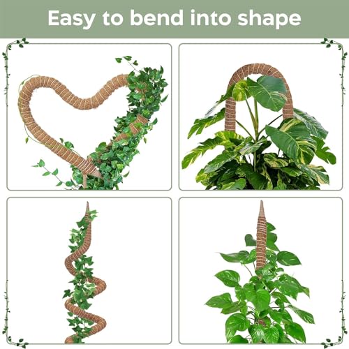 2 Pack 48'' Bendable Moss Pole Monstera Plant Support for Climbing Indoor Plants - Stakes for Potted Climbers - Tall Sticks Indoor Trellis for Houseplants - Accessories for Monstera Pot4