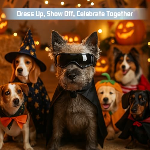 Fohuanky Hundebrille für kleine und mittelgroße Rassen, verstellbare Haustier-Sonnenbrille mit UV-Schutz, Hundebrille für Reisen, Wandern, Outdoor-Spaß (Schwarz, S)