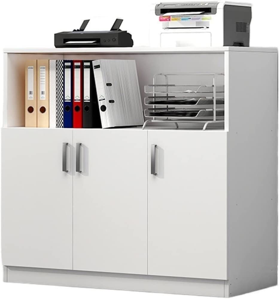 SaryEdge File Cabinet, File Cabinet, Office Partition Cabinet, Wall Storage Cabinet, Home File Cabinet, File Storage Cabinet, Office Furniture,