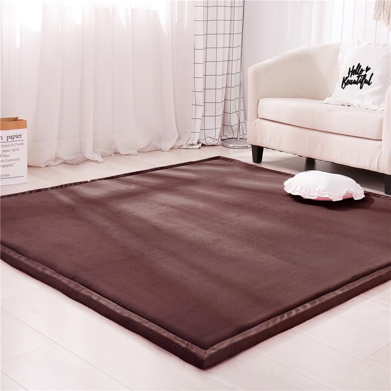DSSHENGDS Coral Velvet Rug for Bedroom Dormitory Yoga,Home Decor for Living Room,Educational Classroom Nursery Bedroom Crawling Mat Non-slip Rug 2cm-C- 150 * 280cm