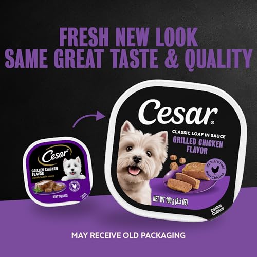 Image of Cesar Classic Loaf in Sauce Wet Dog Food, Grilled Chicken, 3.5 oz, 24 Count | Made in USA, Real chicken #1 ingredient, slow-cooked tender texture, no fillers or artificial flavors, easy peel trays