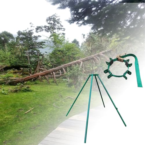 Piquets de support réutilisables pour arbres penchés et tombants, idéal pour redresser et sécuriser les arbustes et les petits arbres