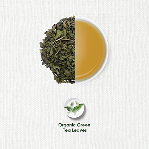 Image of TGL Co. Organic Green Tea (16 Tea Bags) | Refreshing Aroma | Carefully Selected Ingredients | Naturally Sourced