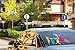 Adhesive Vinyl Sheets by Arty Rooster in a Protective Box | 12