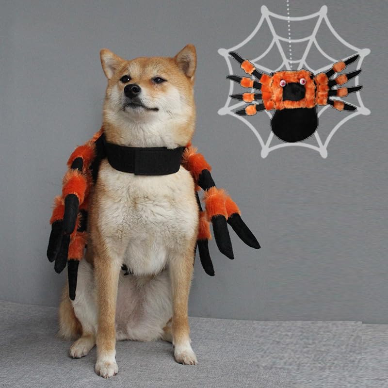 BT Bear Pet Halloween Costume,Spider Dog Halloween Cloak Holiday Dress Up Cosplay Costumes(Orange,M) - Image 4