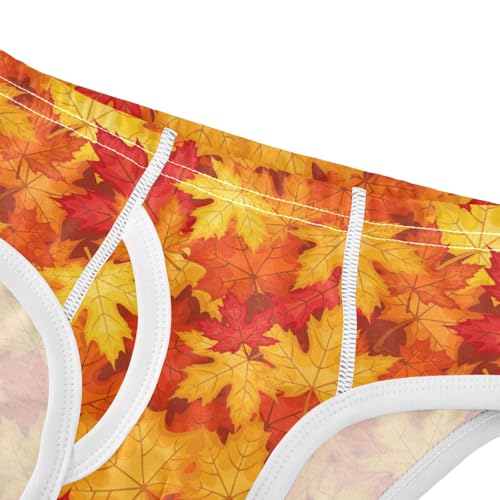 Boys' Exclusive Briefs Toddler Underwear 95% Combed Cotton Boxerbriefs 2T Autumn Leaf Pattern 424