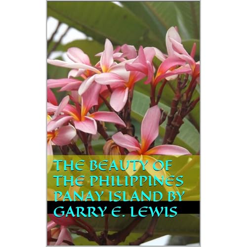 The Beauty of the Philippines Panay Island by Garry E. Lewis by Garry E. Lewis episode artwork